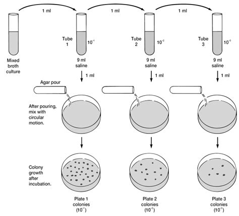 do you think that slants are autoclaved|Bacteriological Culture Methods – Microbiology: A  .